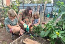 Flinders University researchers confirm importance of urban agriculture, community food gardens