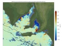KI algal bloom community forum next Thursday, as algae lingers in local waters