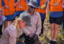 Bushfire-proof bunkers offer new hope for endangered bandicoots on KI
