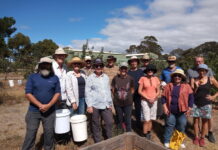 21st birthday and excellent vintage for Kangaroo Island Ciders’ orchards