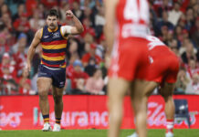 Adelaide Crows star Darcy Fogarty set to inspire KI farmers at AgKI Conference