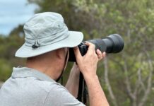 Local news services trusted to provide connection to community: report