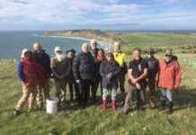 Busy planting month at Boxing Bay, Pelican Lagoon for KI Eco-Action