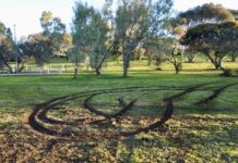 Destruction at Reeves Point historic site churned up by vehicle
