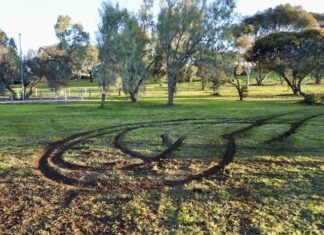 Destruction at Reeves Point historic site churned up by vehicle