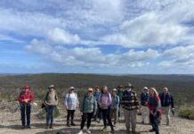KI Walking Club report: 13 walkers head to Nobby Island on south coast
