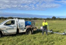 ‘Weed wiper’ tools available for KI landholders to tackle one-leaf Cape tulip