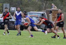 Wisanger beats tenacious Kingscote in KIFL Preliminary Final