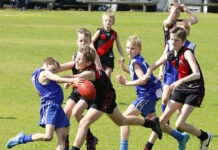 Junior, Senior Colts Grand Final action: PHOTOS