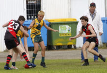 Kingscote Colts dominate Dudley in first semi-final: PHOTOS