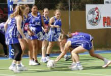 Junior netball first semi-finals at Wisanger: PHOTOS
