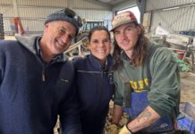 KI Oysters diversifies to survive amidst algal bloom