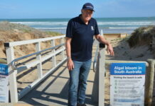 Fighting the algal bloom