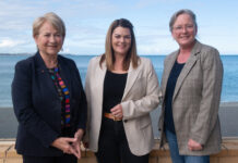 ‘Honest’ Senate hearing tells how algae has impacted Fleurieu, KI