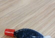 South Australia leads the way banning plastic soy sauce fish