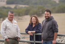 Ella Matta to present one of Australia’s best genetic offerings at 2025 ram sale