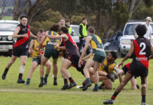 Western Districts flexes its muscle moving into another Grand Final