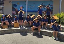 KICE students step up to shelter vulnerable hooded plover shorebirds