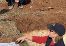 KI Landscape Board offers free carbon farming workshops for landholders