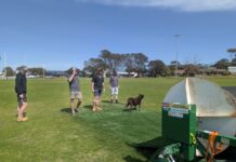 Covers come off the cricket pitches ahead of KI season