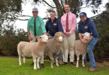 Top Ella Matta Poll Merino sells for $16,000