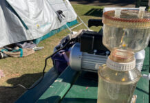 University of Adelaide discovers new method of tracking tropical fish migration