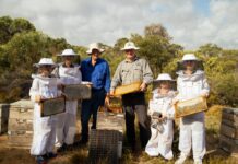 Kangaroo Island Ligurian Bee Co a finalist in Premier’s Food and Beverage Industry Awards