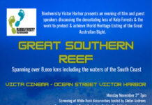 Understanding the Great Southern Reef