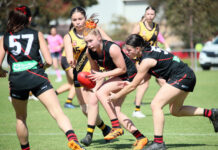 Walden captains West Adelaide at intrastate carnival