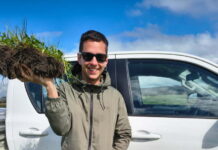 Joaquín Pillado joins KI Landscape Board as sustainable agriculture facilitator