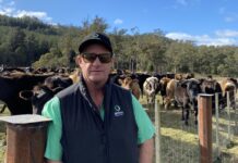 Free workshop to help KI farmers turn feed budgets into profit