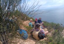 KI Walking Club September report: Borda Road to Cape Torrens