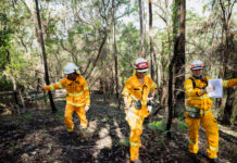 Preparing wildlife first responders on KI for the next bushfire