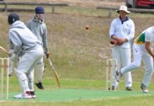Hog Bay hosts MacGillivray in KI cricket