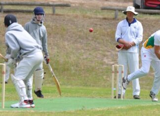 Hog Bay hosts MacGillivray in KI cricket