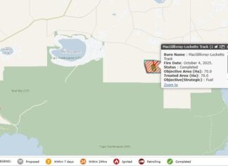 National Parks completes partial burn at D’Estrees Bay