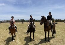 66th Parndana Show features theme of ‘Stop and Smell the Roses’