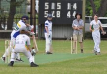 Junior cricket action from Penneshaw: PHOTOS
