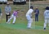 Razorback juniors host the Hawks in KI Cricket