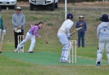 Razorback juniors host the Hawks in KI Cricket