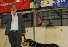 Leon Bignell announces plan to retire at March election