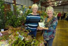 2025 Kingscote Show results, more next week