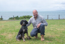 Meet the bluetick coonhounds catching feral cats on Kangaroo Island