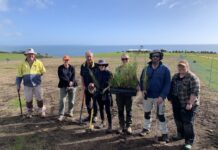 New habitat for KI’s rarest plants takes root at Red Banks