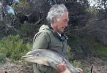 RAD KI gives North Coast update on algal bloom