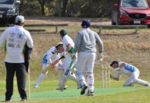 Kangaroo Island senior cricket action at Hog Bay: PHOTOS
