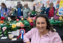 More results from the 2025 Parndana Show