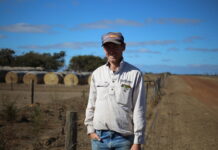 Shelterbelts support productivity and biodiversity on Kangaroo Island