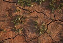 Foundation launches Future Drought Fund’s Communities Program
