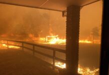 CFS confirms Fire Danger Season on Kangaroo Island starts November 15